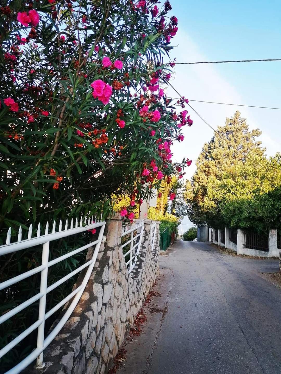 אוטייהא Apartmani Ljubica מראה חיצוני תמונה